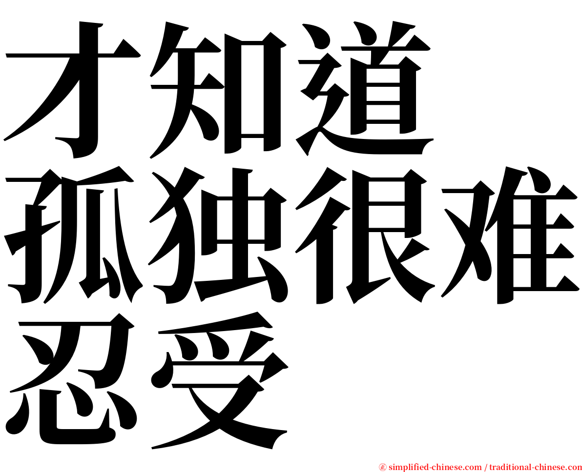才知道　孤独很难忍受 serif font